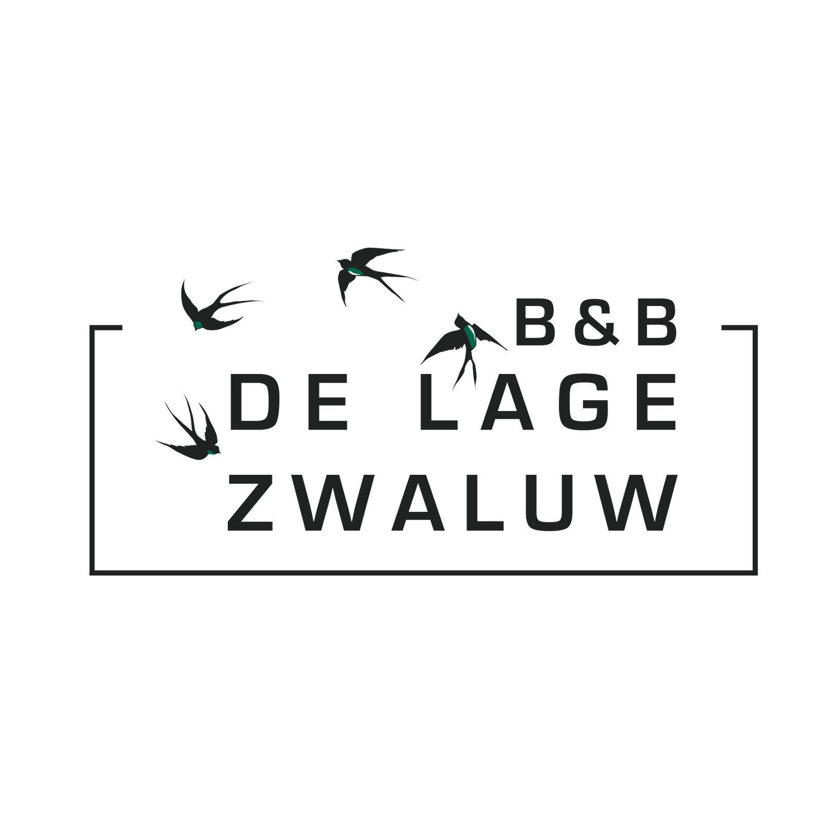 De Lage Zwaluw